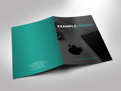 2 Fold Brochure